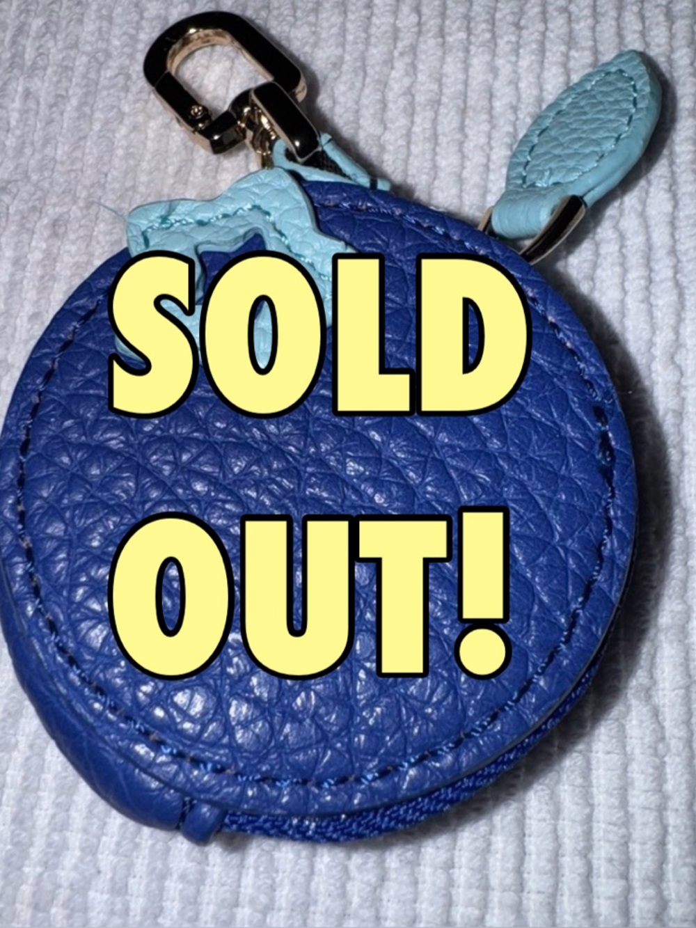 Cute trendy blueberry coin purse AirTag holder purse charm NEW rare
